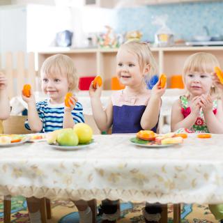 Wpłaty na obiady w szkolnej stołówce w Wolanowie/Sławno 